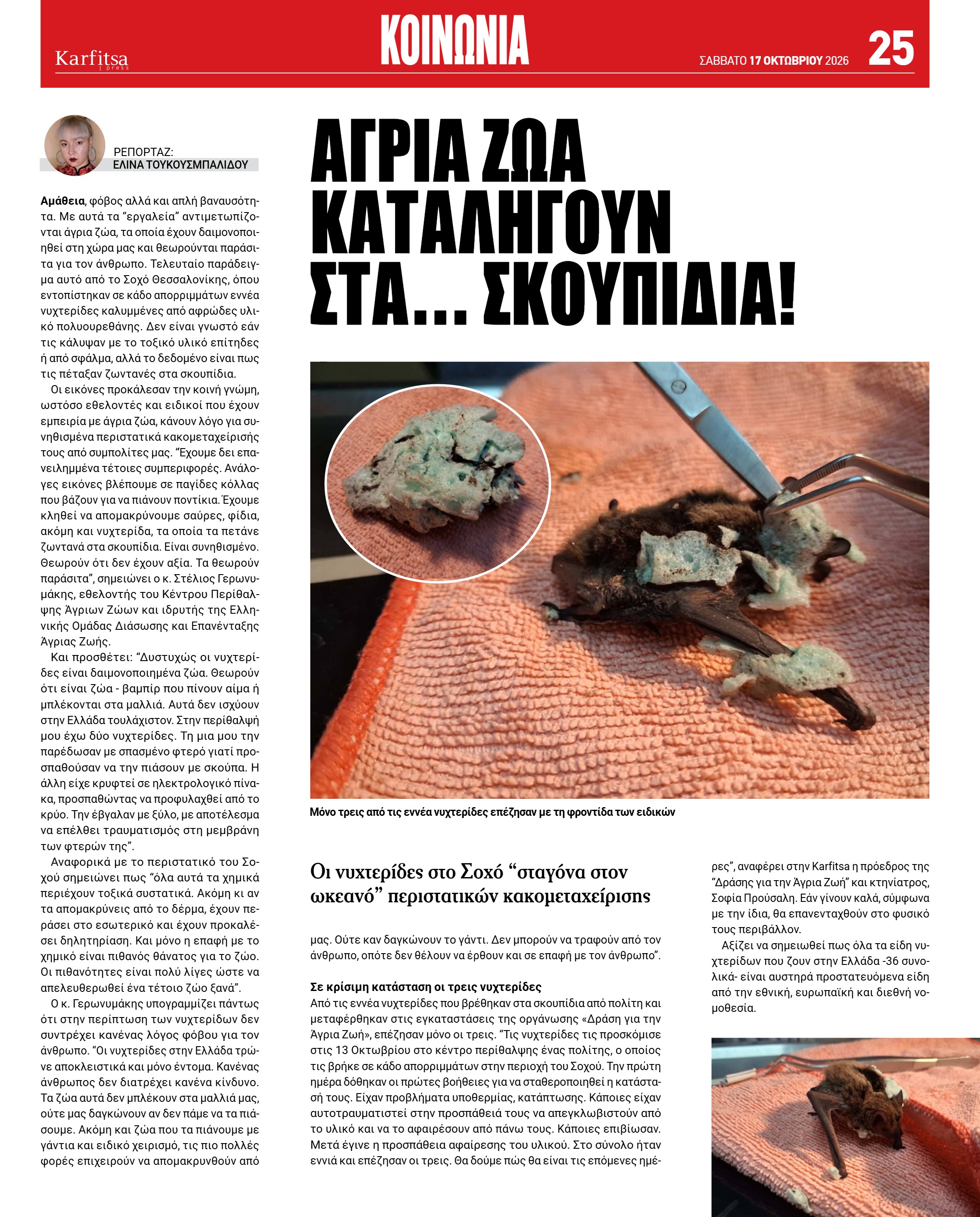 Σελίδα 25